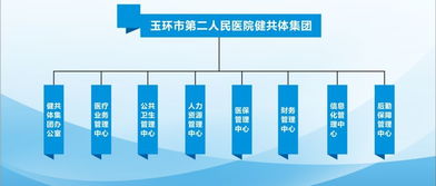 玉環(huán)二醫(yī)健共體集團(tuán)一體化工作推進(jìn) 以網(wǎng)絡(luò)技術(shù)打造整合型醫(yī)療服務(wù)體系